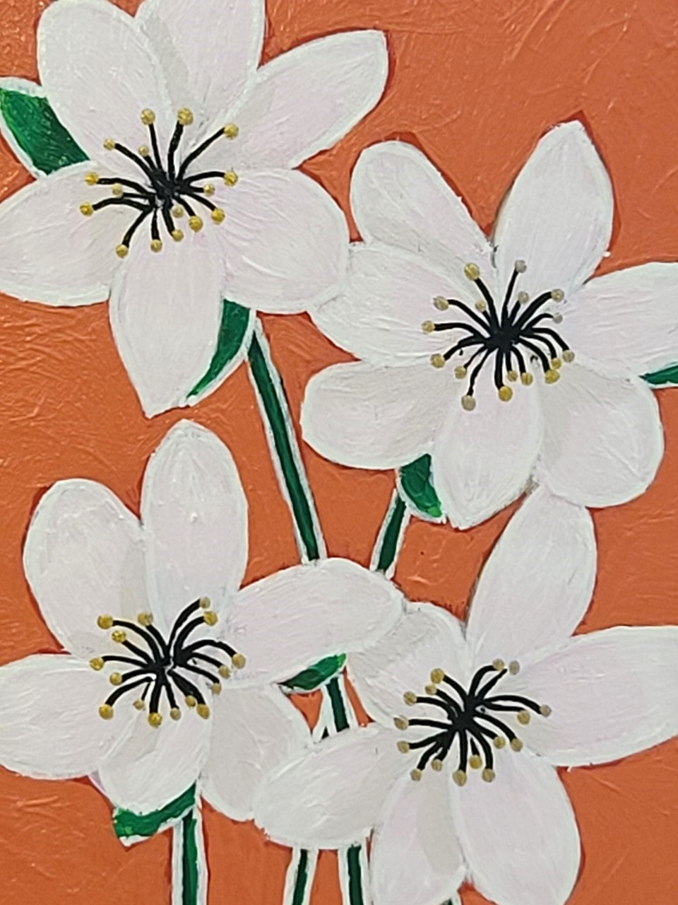 White Flower on Coral Background